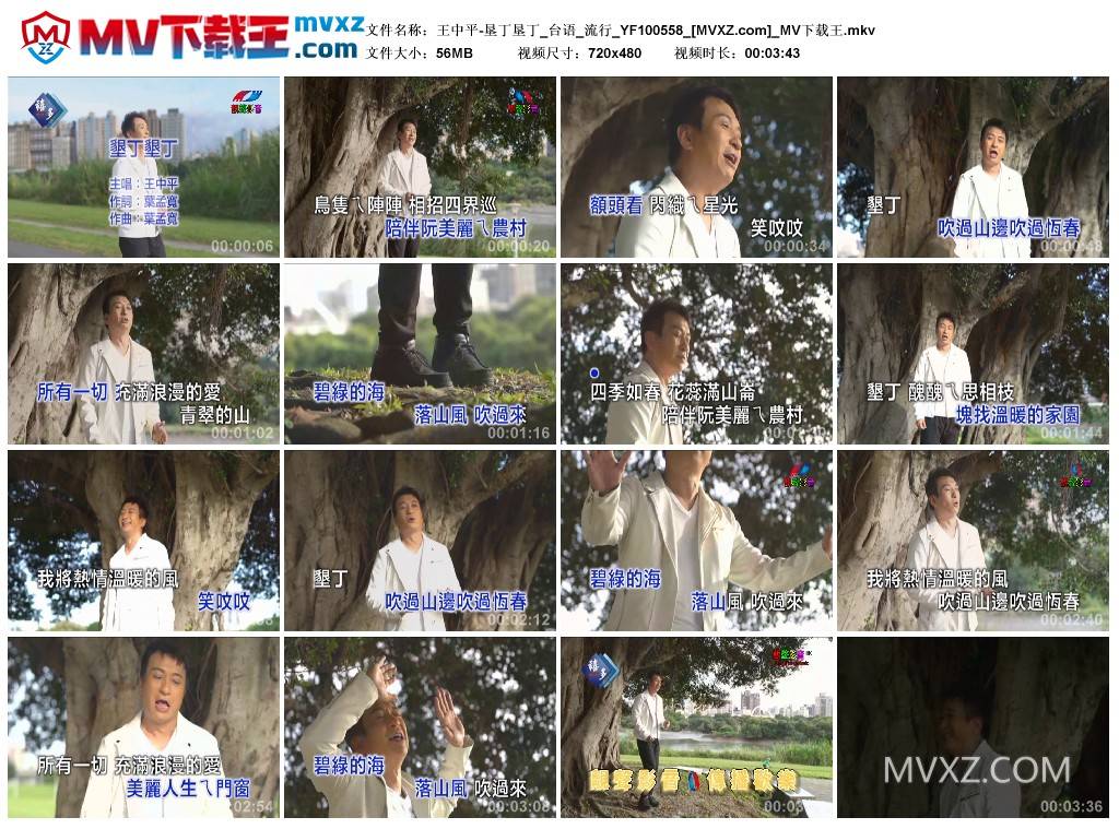 王中平-垦丁垦丁_台语_流行_YF100558